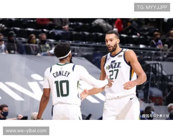 NBA篮板风云：数据透视球员争夺战全景揭秘